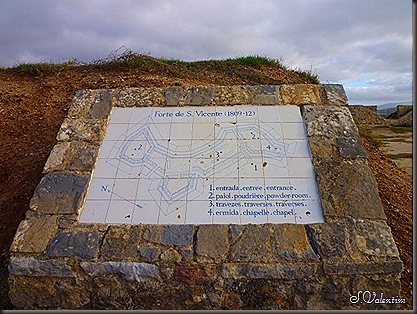 P1180919 P1180919