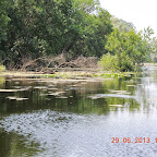 DSCN8328.JPG