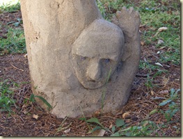 DSCF8377