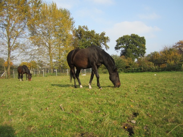 [IMG_1097%255B3%255D.jpg]