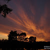 dsc03873.jpg