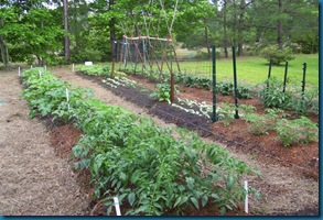 Garden 1 wide rows