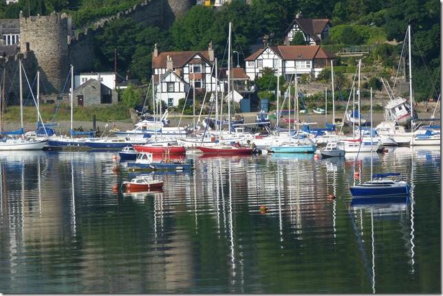 estuary 044