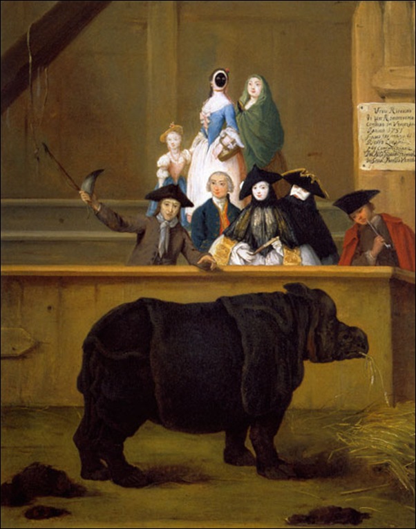 Pietro Longhi, Le rhinocéros Clara 1751