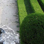Jardim Bot&Atilde;&cent;nico da Ajuda
