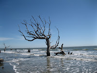 BYB2 Photo