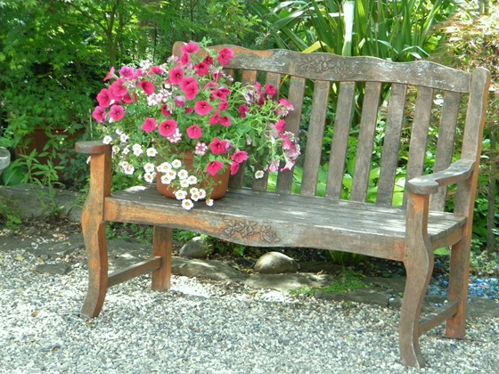[DSCN49925.jpg]