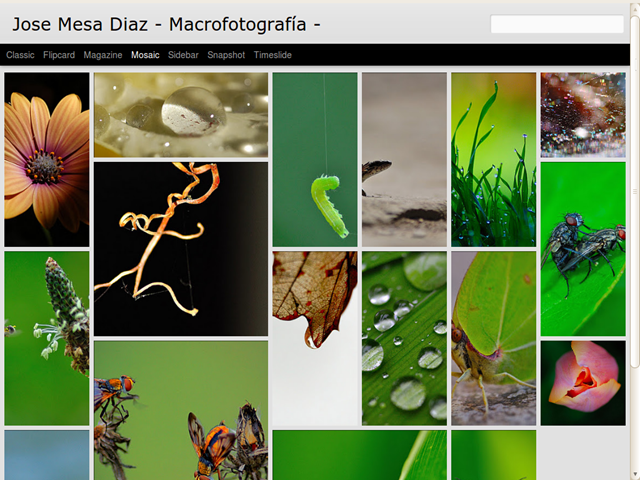 www.jmargazki.com www.jmargazki.com