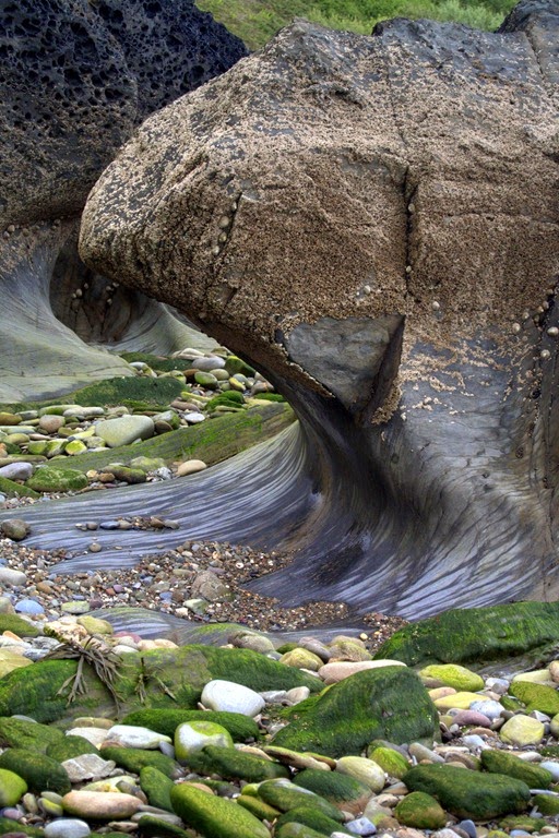 [1-DSC_0214%255B17%255D.jpg]