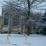 image12.jpg