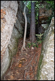 18 - Rock Garden Trail - Rock lines passageways