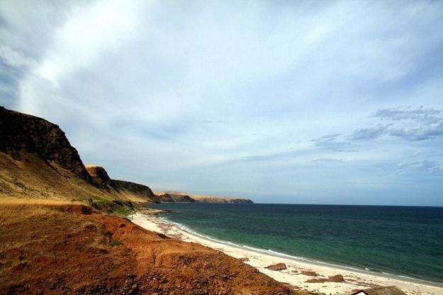 Australia beach 2.png