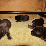IMG_1178.JPG
