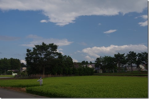 IMGP8222 IMGP8222