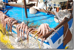 DSC_0773 DSC_0773
