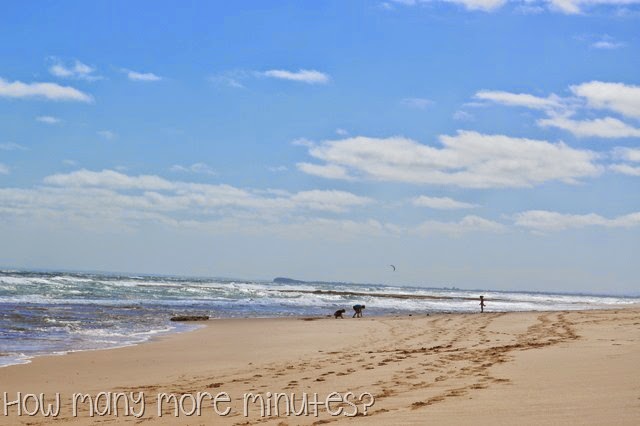 [DSC_1501%255B2%255D.jpg]