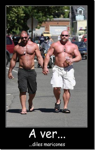 gays