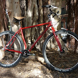 Tony's Rohloff Karate Monkey