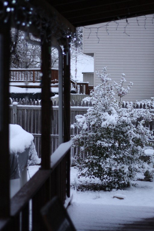 [march%25202012%2520snow%2520010%255B7%255D.jpg]