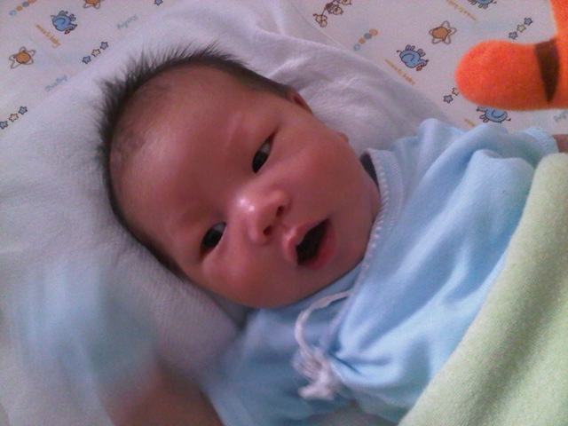 [IMG00920-20120103-1429%255B3%255D.jpg]