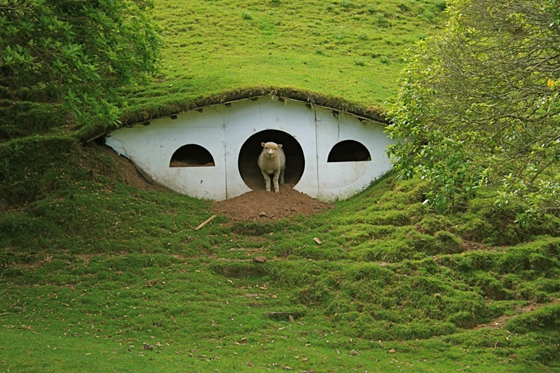 hobbiton-9 hobbiton-9