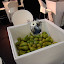 DSC07427.JPG