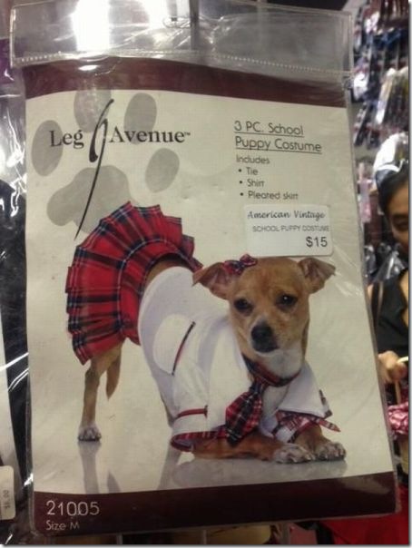 viral-picdump-pics-53