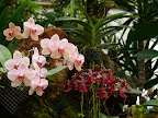 p1300354751(7).jpg