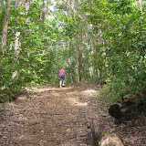Road to Hana: The Trail