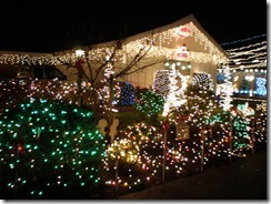 during the christmas season we enjoy going to look at christmas lights its true we may live on the community christmas tree lane where thousands of - Christmas Tree Lane Modesto Ca during the christmas season we enjoy going to look at christmas lights its true we may live on the community christmas tree lane where thousands of - Christmas Tree Lane Modesto Ca