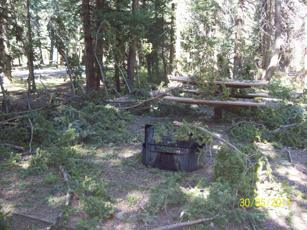 [100_26583.jpg]