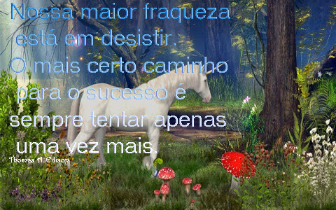 FRASES, MENSAGENS DE OTIMISMO. PARTILHANDO AMOR.