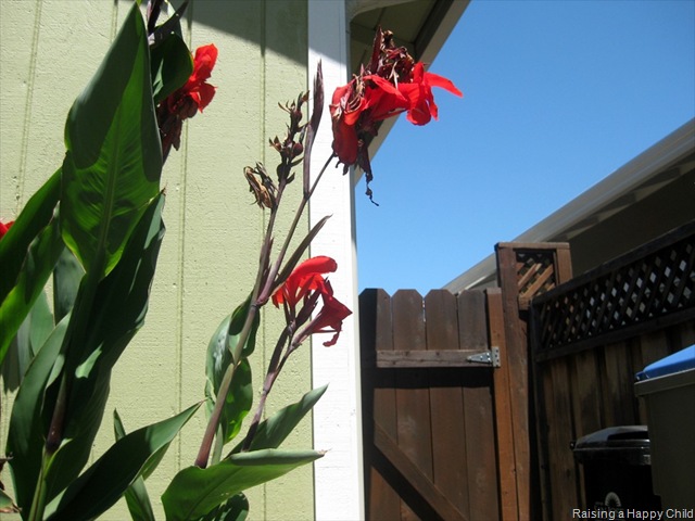 [July9_AnnaPhoto1%255B2%255D.jpg]