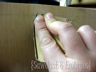 Fill holes with wood putty, and sand till smooth! {Sawdust and Embryos}