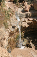 IMG_8487.JPG Photo
