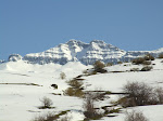 pl 040.jpg pl 040.jpg