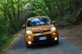 2013-Fiat-Panda-Trekking-8 2013-Fiat-Panda-Trekking-8