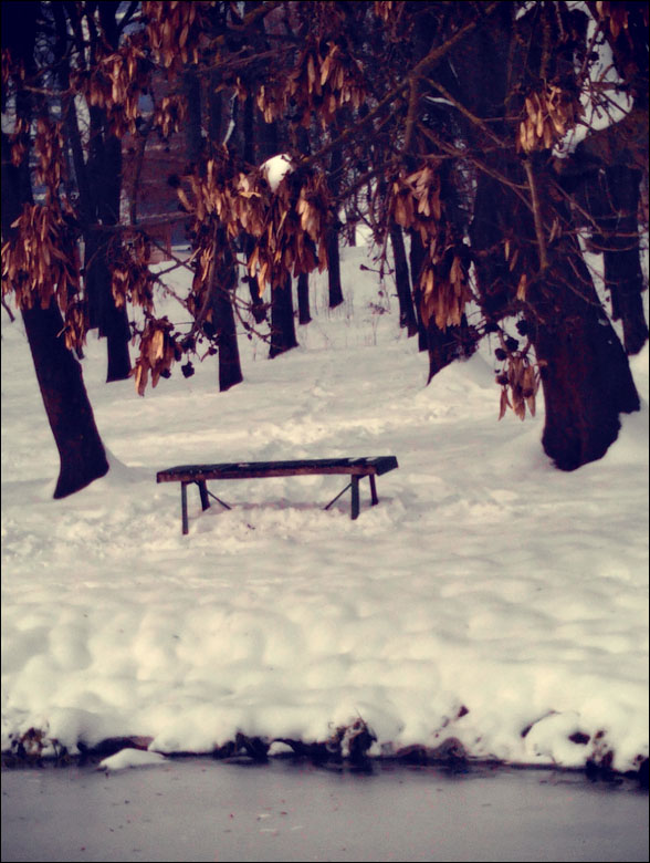 IMAG0139.jpg