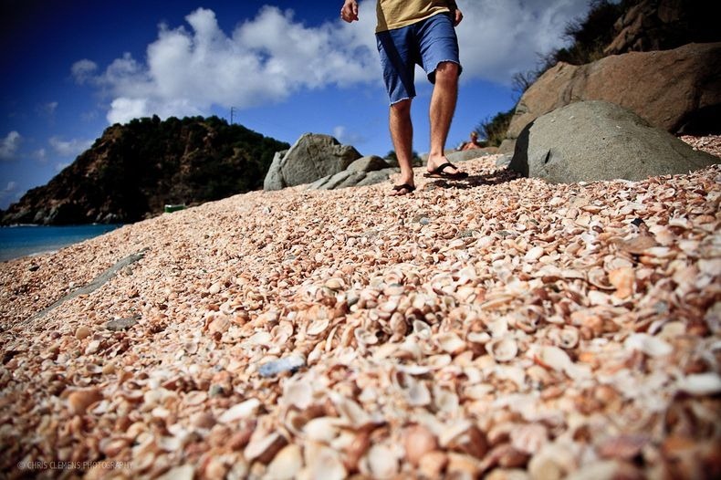 st-bart-shell-beach-1