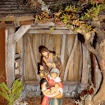 1433-5.JPG