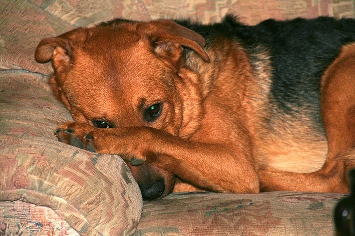 [IMG_5564%255B2%255D.jpg]