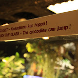 Im Aquarium in Skansen. Stockholm - 3 Tag 247.jpg