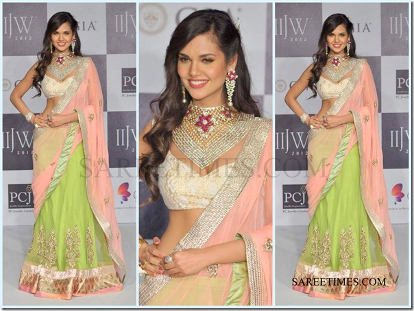 Jashn_IIJW_Saree (6)