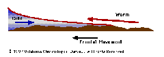WarmFront WarmFront