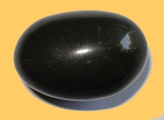 shaligram shaligram