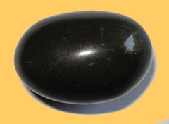 shaligram