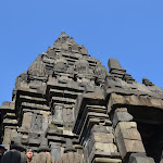 DSC_0147.JPG