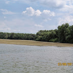 IMG_5541.JPG