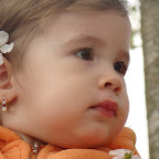 Zamfir Maria