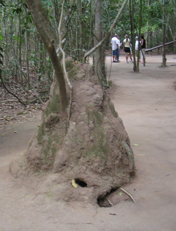 [TUNNELS%252098A%255B2%255D.jpg]